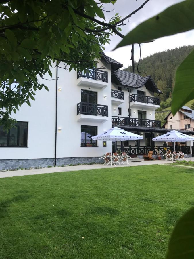 Pensiunea Edelweiss Voineasa Exteriér fotografie