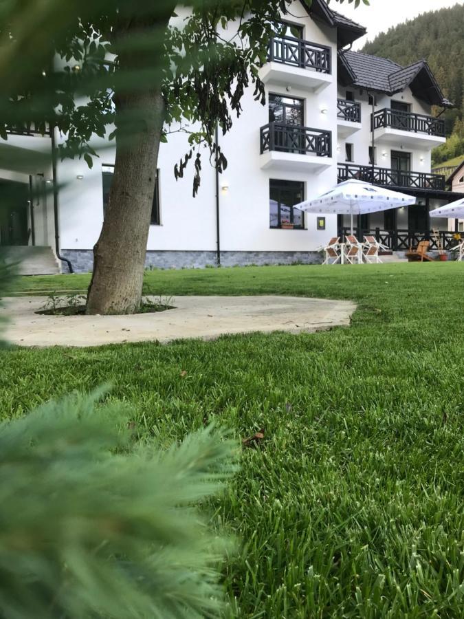 Pensiunea Edelweiss Voineasa Exteriér fotografie