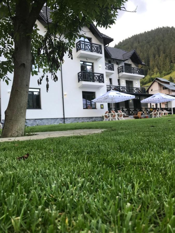 Pensiunea Edelweiss Voineasa Exteriér fotografie