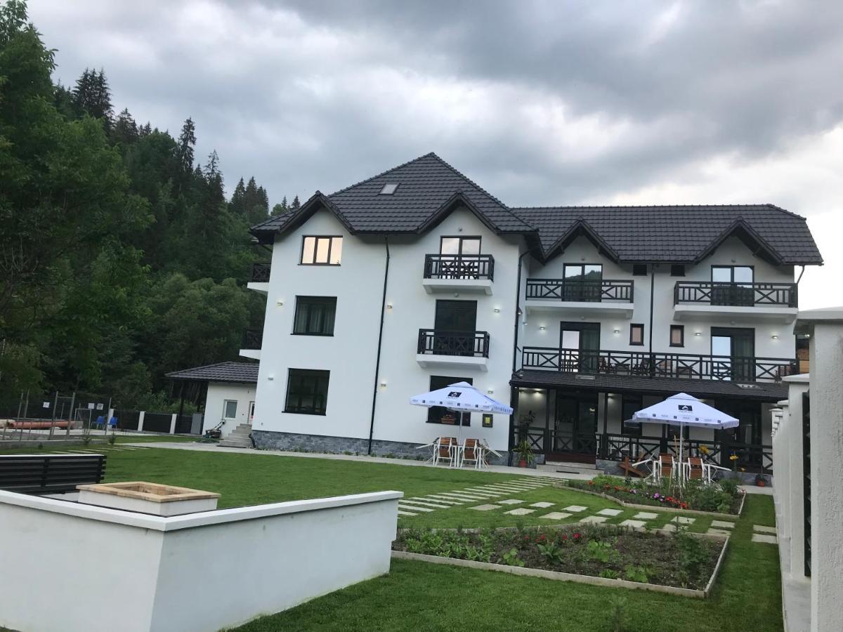 Pensiunea Edelweiss Voineasa Exteriér fotografie