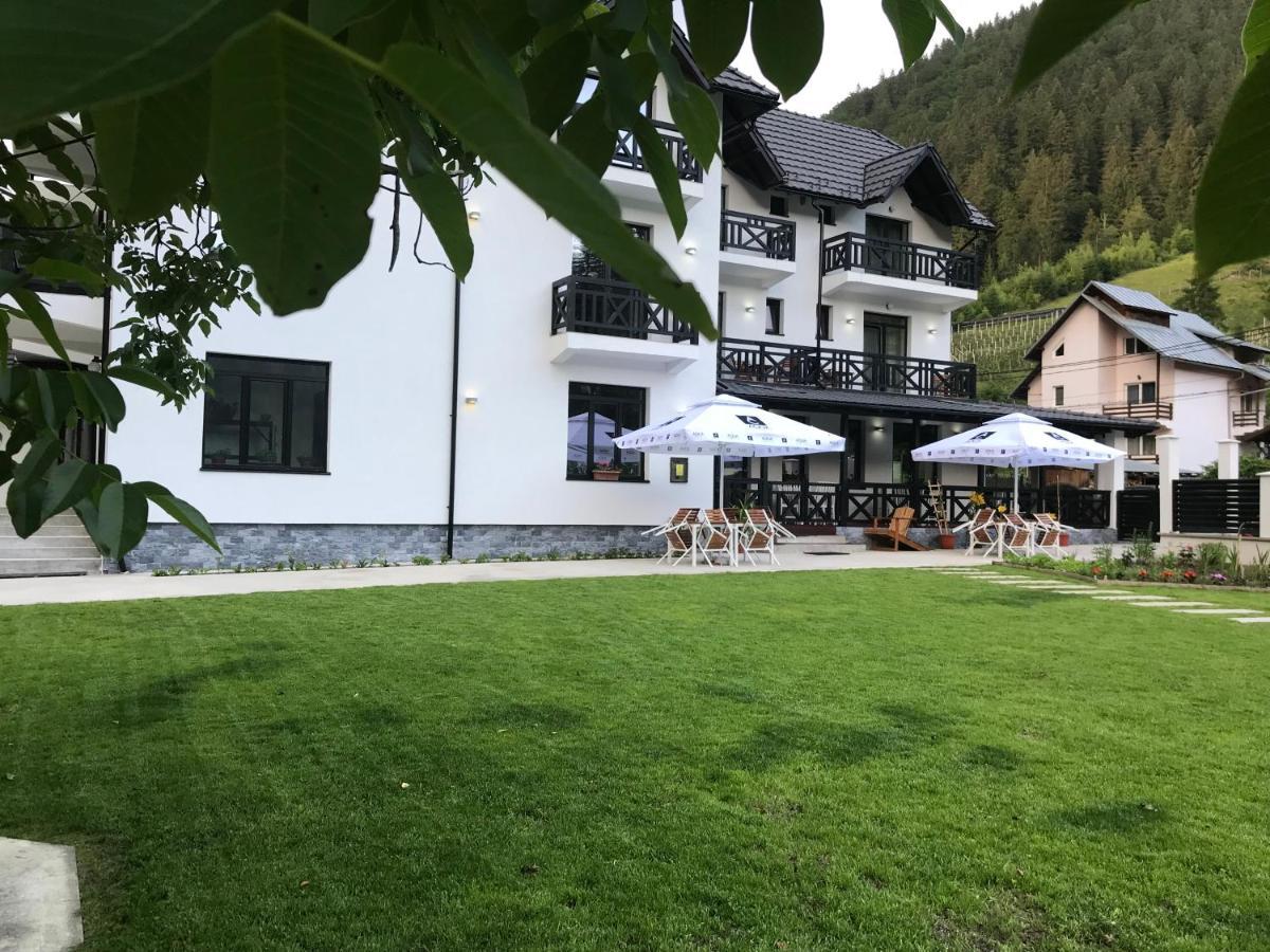 Pensiunea Edelweiss Voineasa Exteriér fotografie