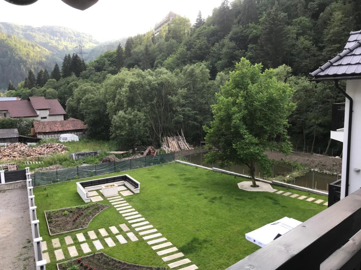 Pensiunea Edelweiss Voineasa Exteriér fotografie