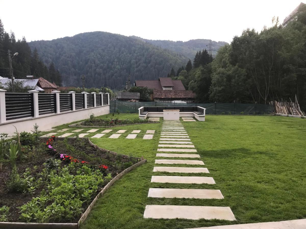 Pensiunea Edelweiss Voineasa Exteriér fotografie