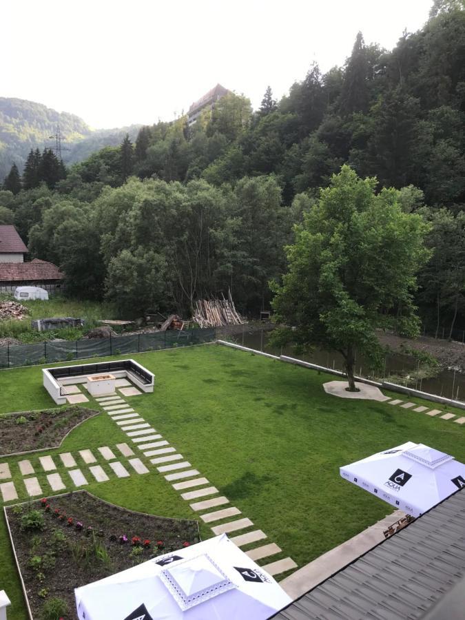 Pensiunea Edelweiss Voineasa Exteriér fotografie