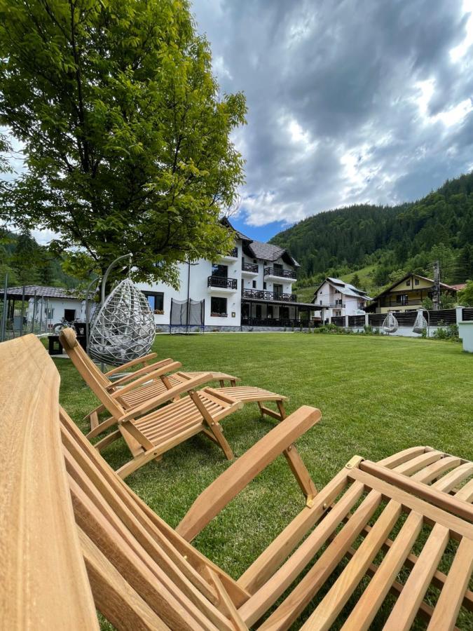 Pensiunea Edelweiss Voineasa Exteriér fotografie