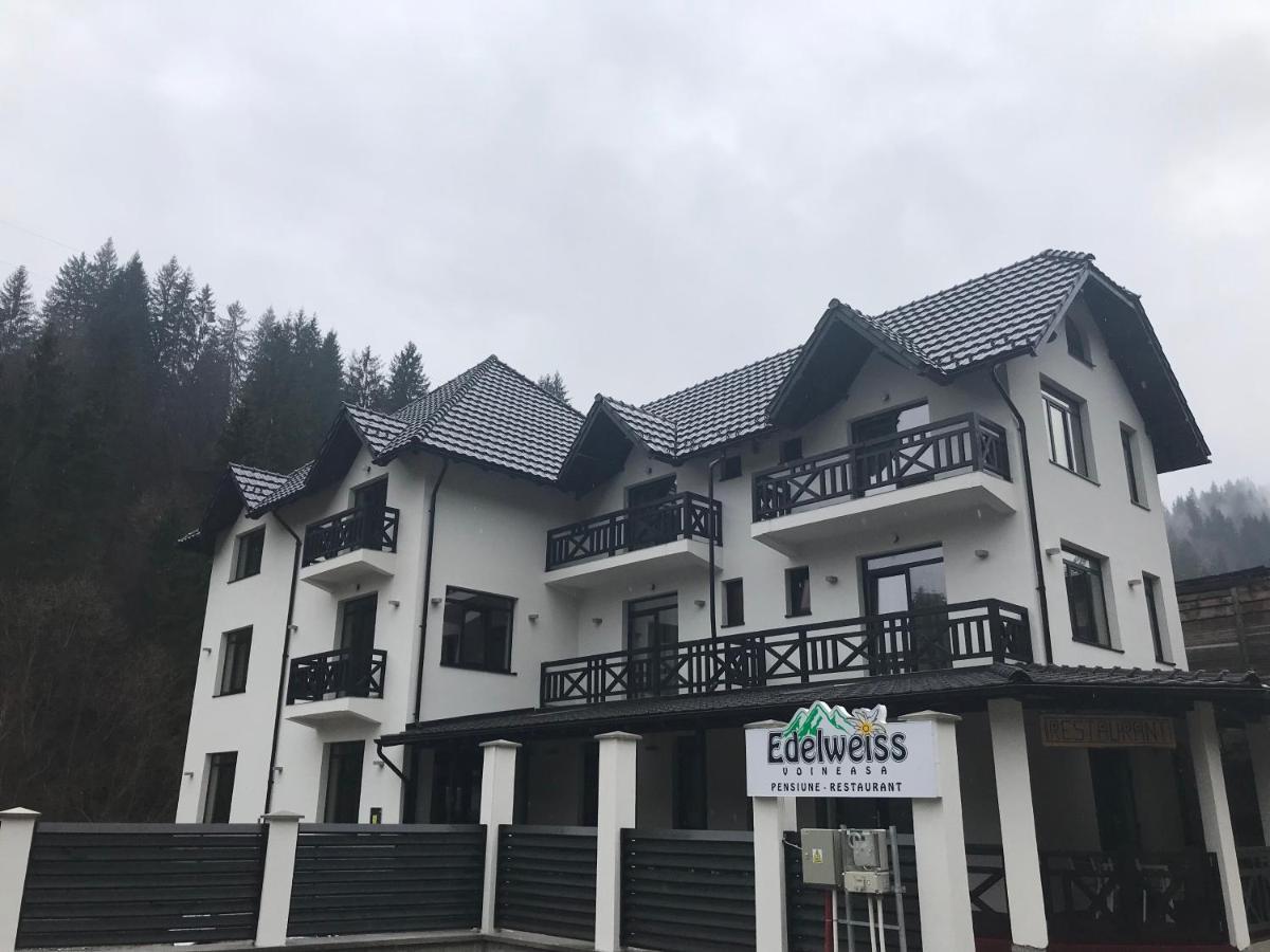 Pensiunea Edelweiss Voineasa Exteriér fotografie