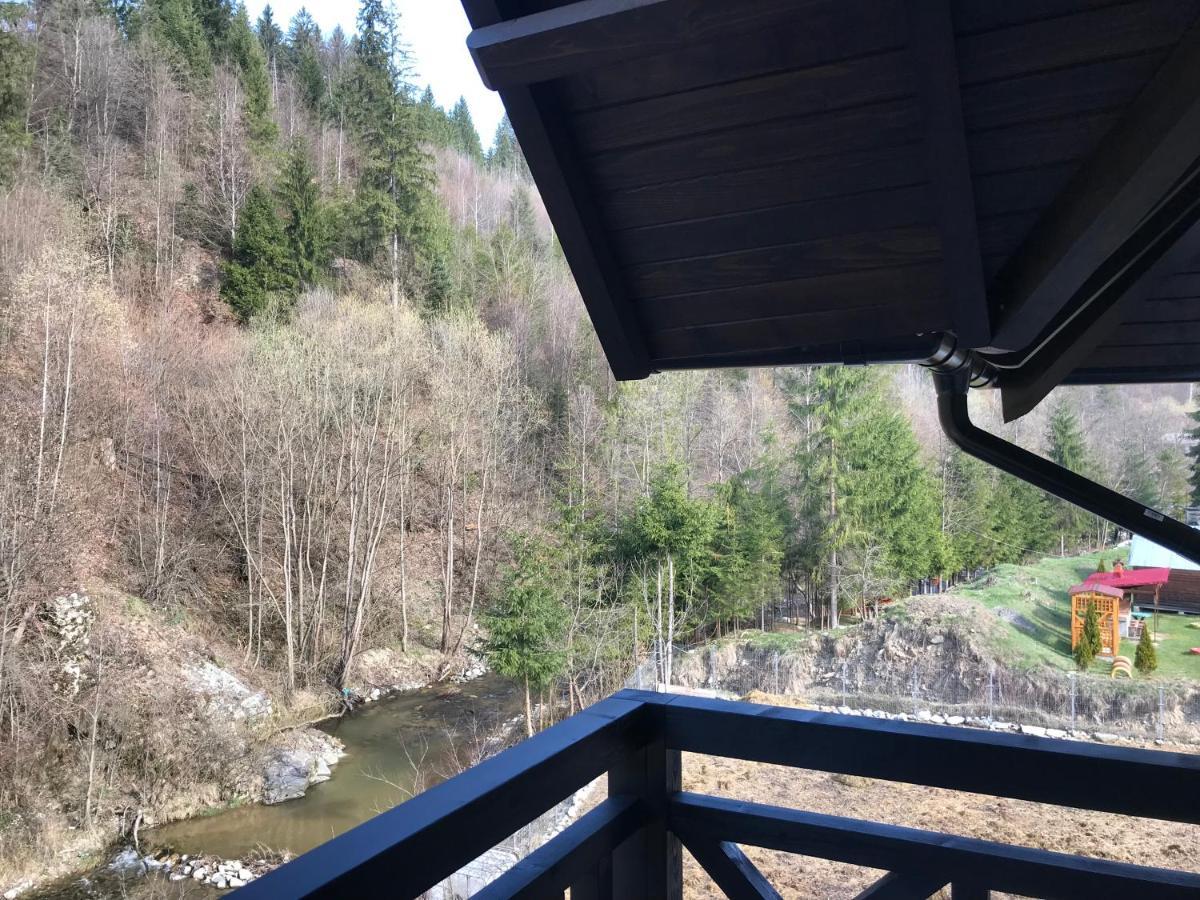 Pensiunea Edelweiss Voineasa Exteriér fotografie