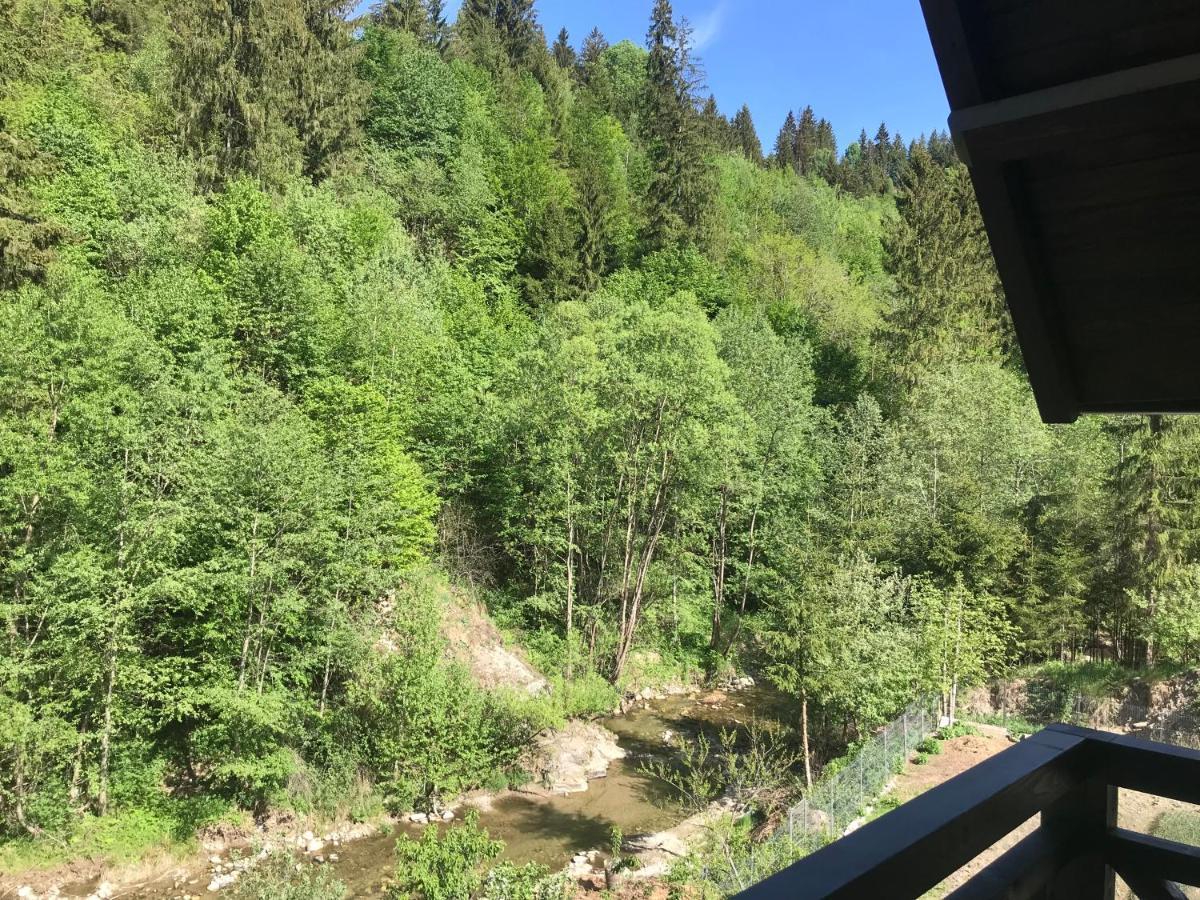Pensiunea Edelweiss Voineasa Exteriér fotografie