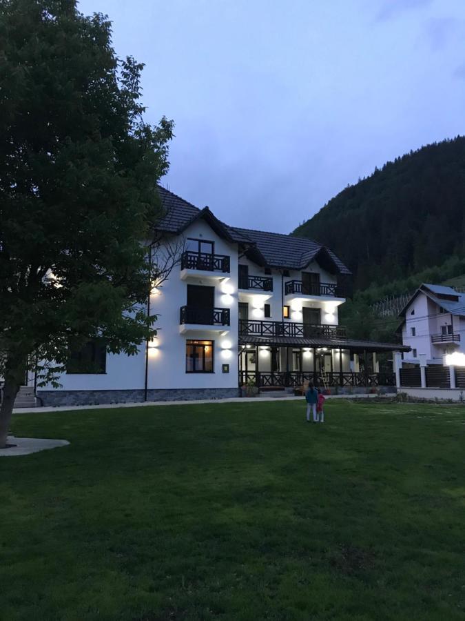 Pensiunea Edelweiss Voineasa Exteriér fotografie